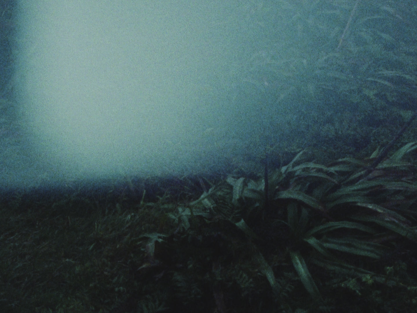 Charger la vidéo : 